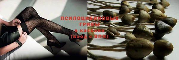 тгк Абаза