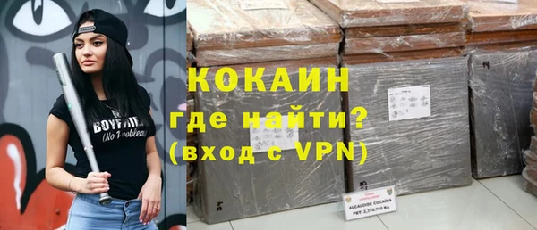 тгк Абаза