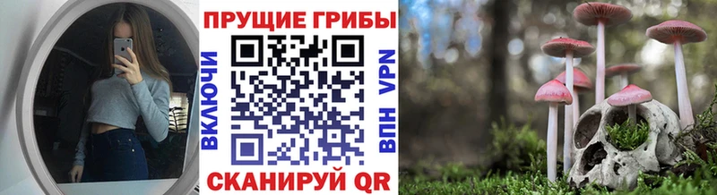 Галлюциногенные грибы прущие грибы  Комсомольск-на-Амуре 